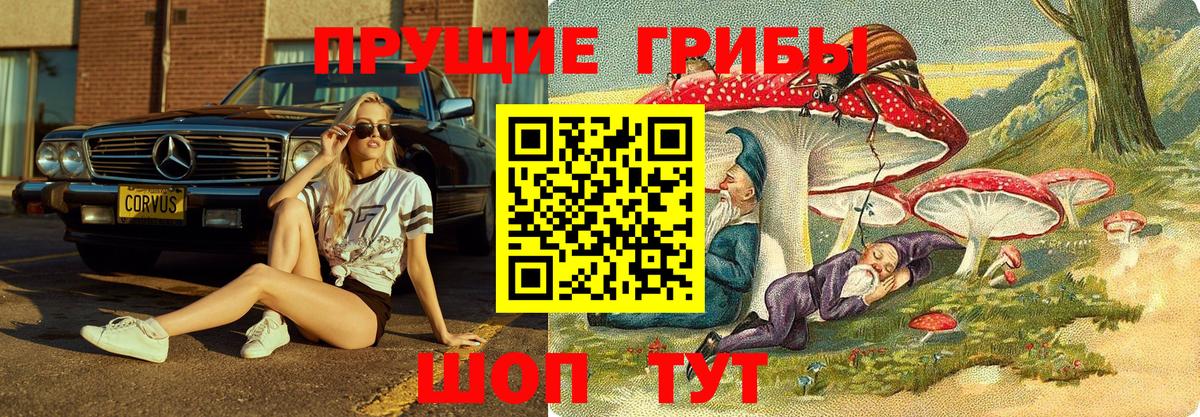 Галлюциногенные грибы ЛСД Омск