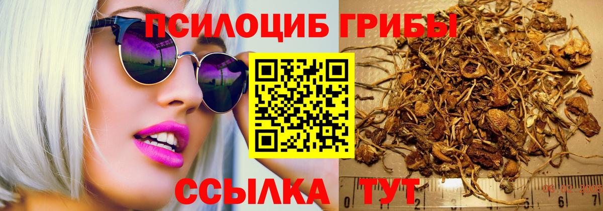 Псилоцибиновые грибы Psilocybine cubensis  Вход с VPN  Омск 