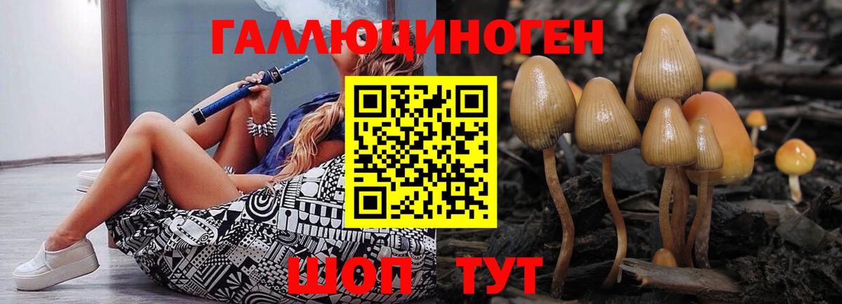 Омск  Экстази  Вход с VPN  APVP СК   ТГК  Марихуана  ГАШ  COCAIN  ГАШИШ  Меф  